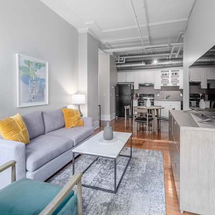 A modern living room with a grey couch and a grey rug.
