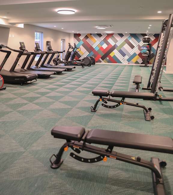 A gym with a variety of equipment including treadmills and rowing machines.