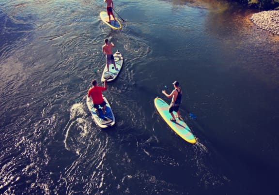 Group of Friends Paddle Boarding Together