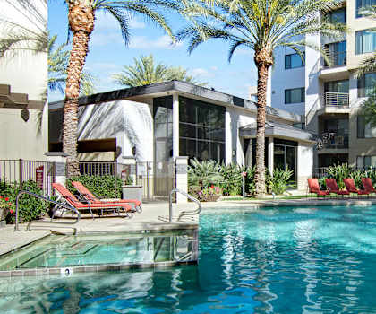 Outdoor pool surrounded by lounge chairs and palm trees at Acclaim. 