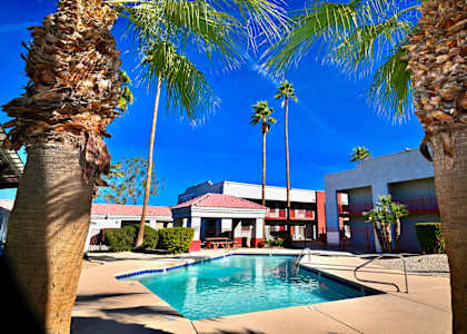 A pool surrounded by palm trees and a building in the background.