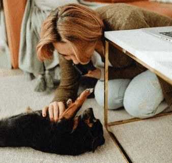 A woman is petting a black dog on the floor.