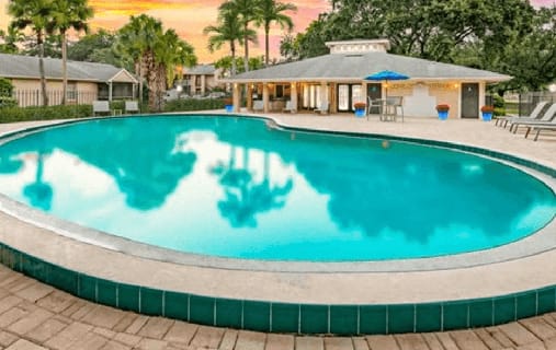 Swimming pool with palm trees at Aqua Bay Apartments in Naples, FL 34116