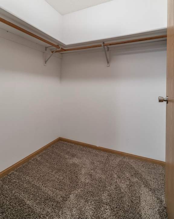 walk in closet with shelving