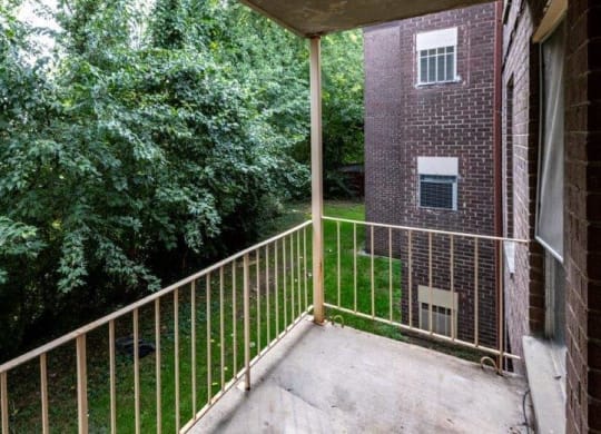 Treelined Balcony
