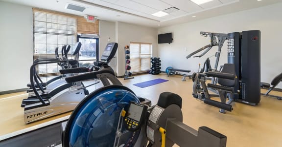 the gym is equipped with cardio equipment and weights