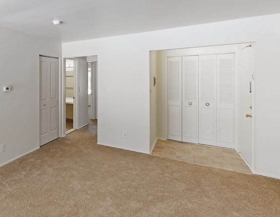 a bedroom with white walls and beige carpet