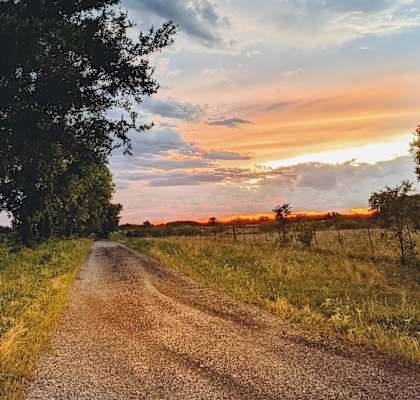 a dirt road with a tree and a sunset on the side of the road