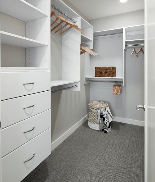Oversized Large Walk-in closets