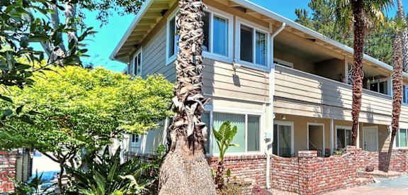 Mature Landscaping at Atherton Oaks, California