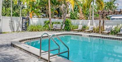 A pool surrounded by palm trees and a white fence.