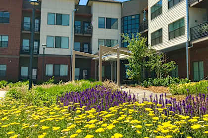 a garden of flowers in front of an apartment building