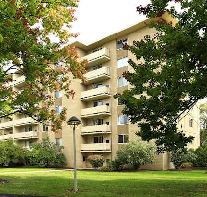 A tree with red flowers in front of a beige apartment building.