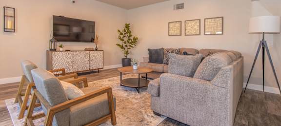 A living room with a grey couch, a wooden chair, a small table, a television, and a plant.