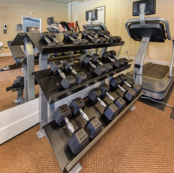 Rack of free weights inside of the fitness area at The Renaissance Apartments, Citrus Heights, CA 95610