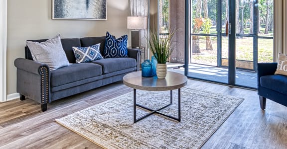 Senior Living apartment living room
