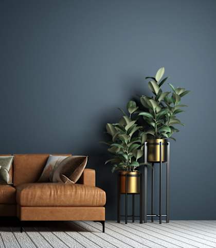 a sofa with brown cushions in a living room with a dark blue wall