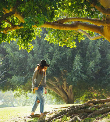 Woman walking under large tree