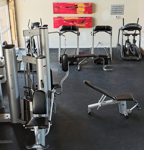 A gym with a row of stationary bikes and a row of elliptical machines.