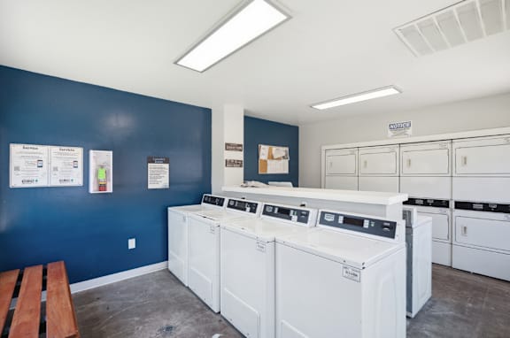 A laundromat with a row of washers and dryers.