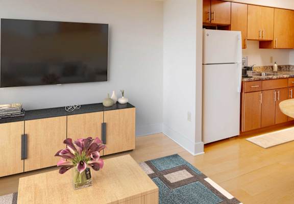 Modern studio decorated