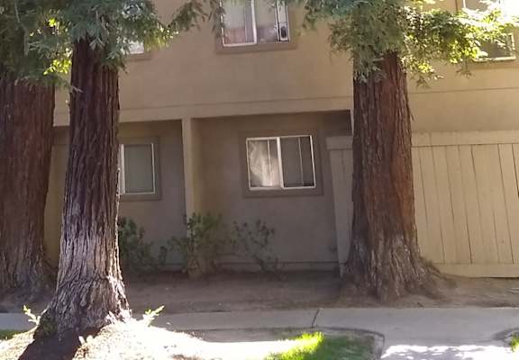 Colonial Farms Apartments - apartment building with trees in front