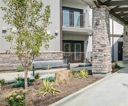 Image of small trees and property entrance