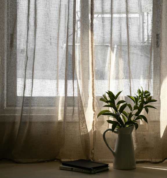 a vase with a plant sitting in front of a window