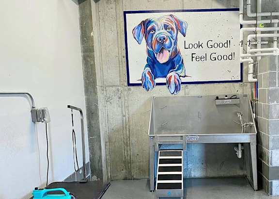 A dog is on a sign that says
