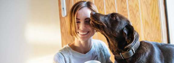 Woman Petting a Dog at Edge75, Naples, Florida 34104