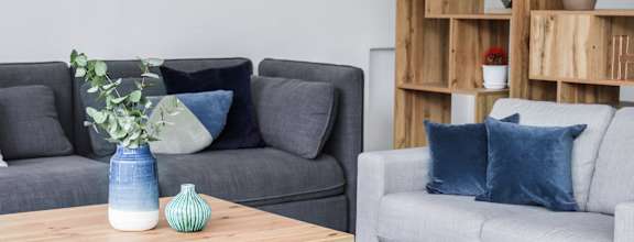 A living room with a grey couch, a wooden coffee table, and a wooden shelf with plants.