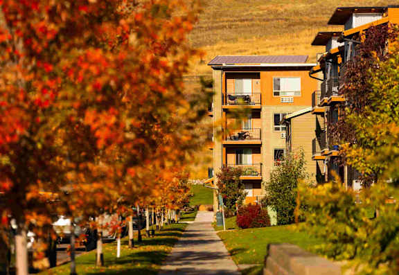 A tree with red leaves is on the left of a sidewalk with the Grant Creek building in the background
