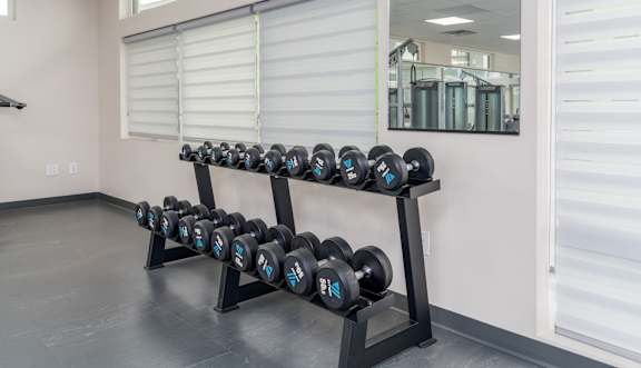 A set of black dumbbells with blue and white writing on them are on a rack in a room.