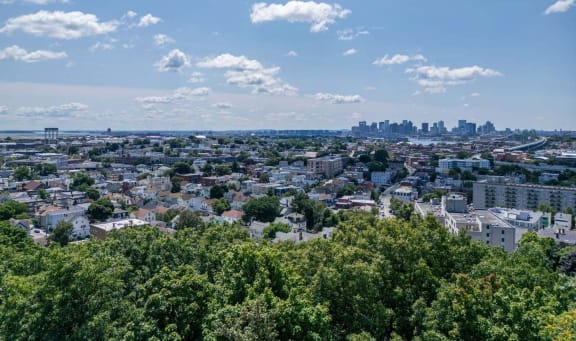 Cheslea from hill and boston in background