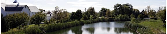 a small pond in a field with a house in the background