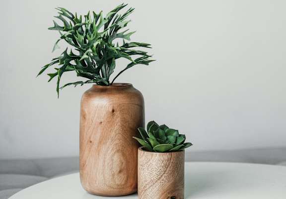 A green plant is in a small pot and a larger pot with a green plant in it is on a table.