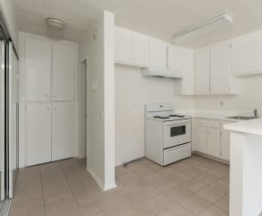 Kitchen with White Cabinets