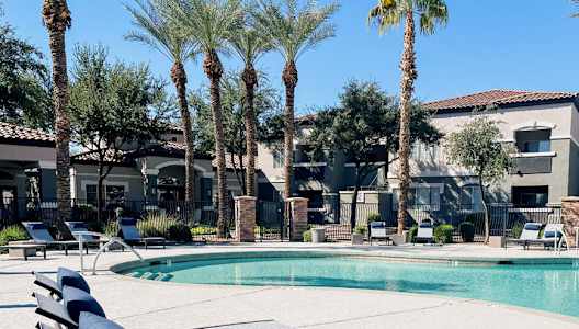 A poolside area with sun loungers and palm trees.