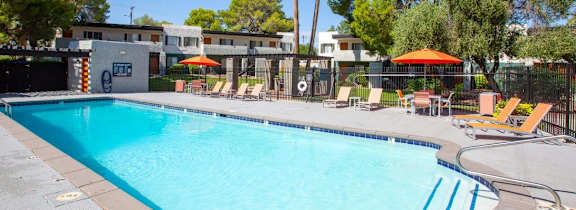 A large swimming pool surrounded by trees and lounge chairs.