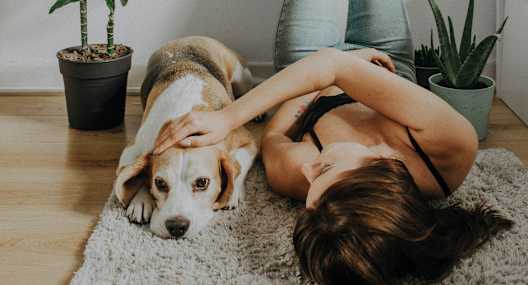 woman with dog at pet friendly Vizcaya Hilltop Apartments