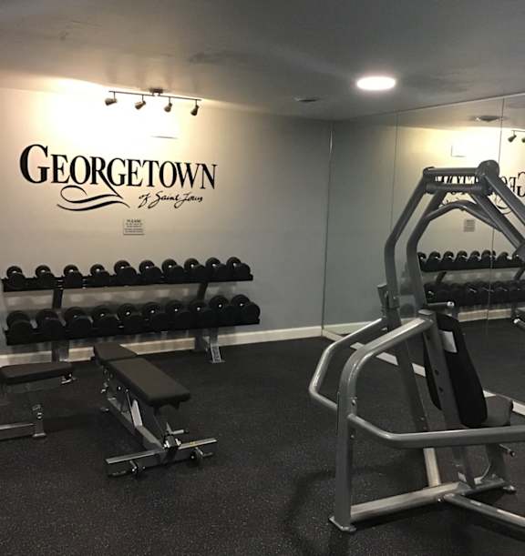 A gym with a row of dumbbells and a bench press.