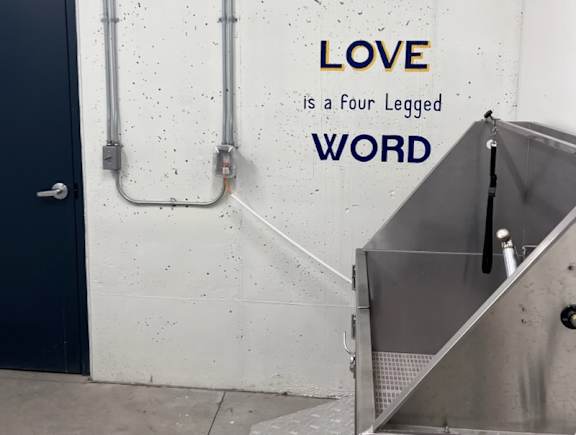 A wall with the words love is a four legged word and the dog wash station at WH Flats apartments in Lincoln, NE