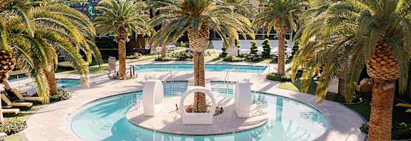 A pool surrounded by palm trees.