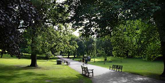 Four people walking together in a park.