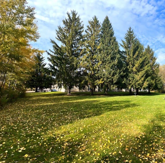 Mackinaw Apartments Cheboygan MI