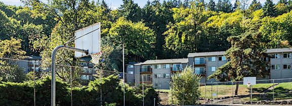 A basketball court is surrounded by trees and buildings.
