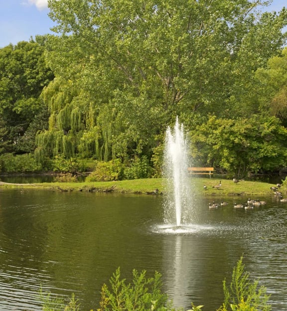 Pond water feature at Valley Pond, Apple Valley, MN, 55124