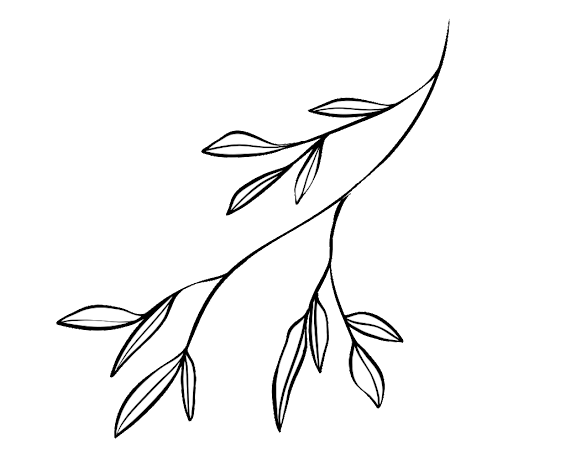 Leaf branch graphic on a white background.