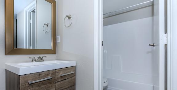 a bathroom with a sink and a shower and a mirror