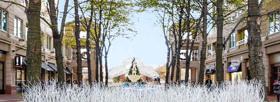 A large white building with a black roof is surrounded by trees with autumn leaves.